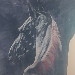 Very cool American flag horse t-shirt / tie dy